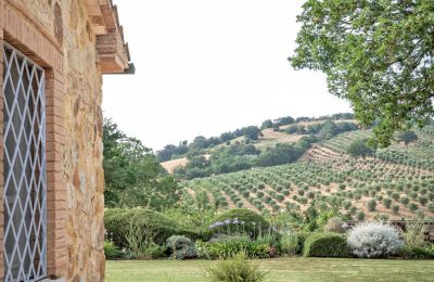 Country House for sale Manciano, Tuscany:  RIF 3084 Blick auf Garten und Umgebung