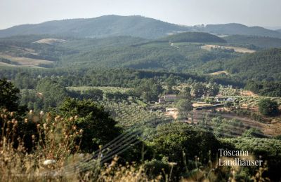 Country House for sale Manciano, Tuscany:  RIF 3084 Blick auf Anwesen