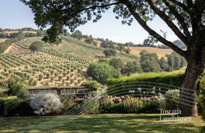 Country House for sale Manciano, Tuscany:  RIF 3084 Garten und Nebengebäude
