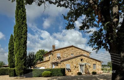 Country House for sale Manciano, Tuscany:  RIF 3084 Anwesen