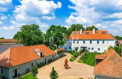 Historic properties, Renovated castle near České Budějovice - excellent energy efficiency