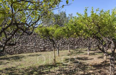 Historic Villa for sale Oria, Apulia, Photo 16/34