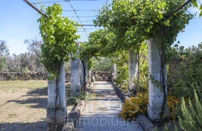 Historic Villa for sale Oria, Apulia, Photo 29/34