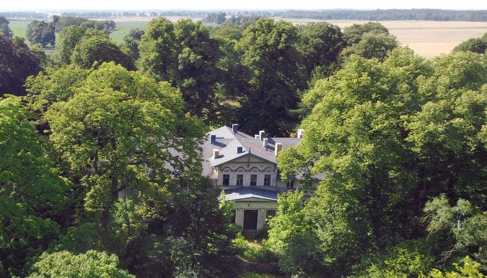 Castle for sale Stradzewo, West Pomerania,  Poland