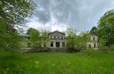 Castle for sale Stradzewo, Pałac w Stradzewie, West Pomeranian Voivodeship:  