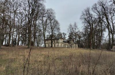 Castle for sale Stradzewo, Pałac w Stradzewie, West Pomeranian Voivodeship:  Palace Garden