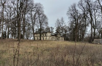 Castle for sale Stradzewo, Pałac w Stradzewie, West Pomeranian Voivodeship:  