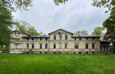 Castle for sale Stradzewo, Pałac w Stradzewie, West Pomeranian Voivodeship:  Front view