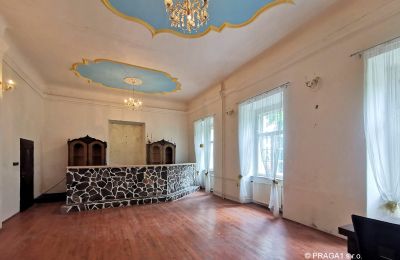 Castle for sale Opava, Moravskoslezský kraj, Ballroom