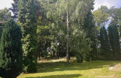 Castle for sale Opava, Moravskoslezský kraj, Palace Garden