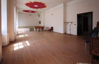 Castle for sale Opava, Moravskoslezský kraj, Ballroom