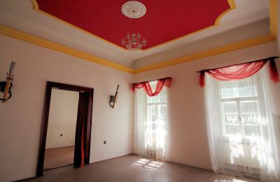 Castle for sale Opava, Moravskoslezský kraj, Photo 7/15