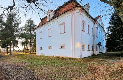 Castle for sale Opava, Moravskoslezský kraj, Side view