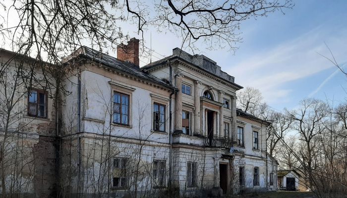 Endangered monuments in Poland: The palace in Sobieszyn, Lublin