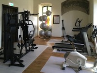 Sport space in the manor house