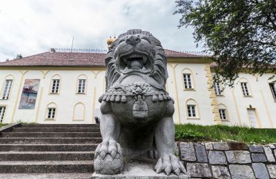 Castle for sale Szombathely, Vas County:  