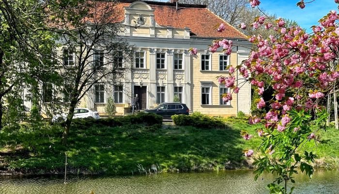 Castle for sale Gola, Greater Poland,  Poland