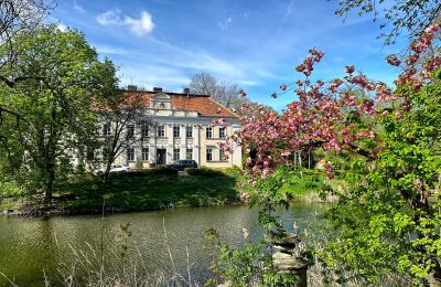 Castle for sale Gola, Greater Poland, Photo 2/42