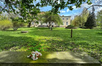 Castle for sale Gola, Greater Poland, Photo 5/42