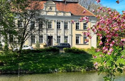 Castle Gola, Greater Poland