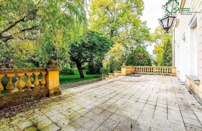 Castle for sale Gola, Greater Poland, Photo 38/42