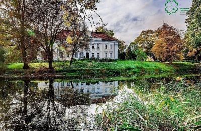 Castle for sale Gola, Greater Poland Voivodeship:  Lake