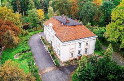 Castle for sale Gola, Greater Poland Voivodeship:  Drone