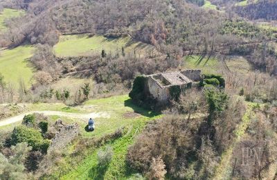 Medieval Castle for sale 06026 Pietralunga, Umbria, Photo 10/11