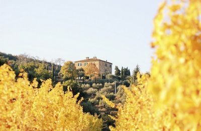 Historic Villa for sale 06063 Magione, Umbria:  