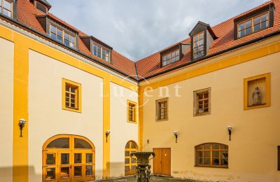Medieval Castle for sale Třebotov, Třebotov tvrz, Středočeský kraj, Photo 6/36