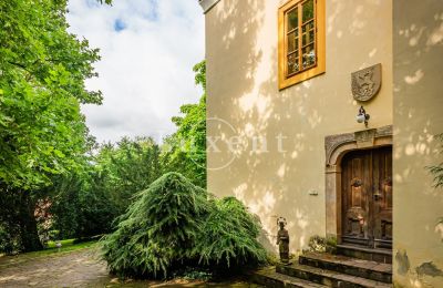 Medieval Castle for sale Třebotov, Třebotov tvrz, Středočeský kraj, Photo 3/36