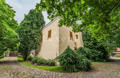 Medieval Castle for sale Třebotov, Třebotov tvrz, Středočeský kraj, Photo 7/36
