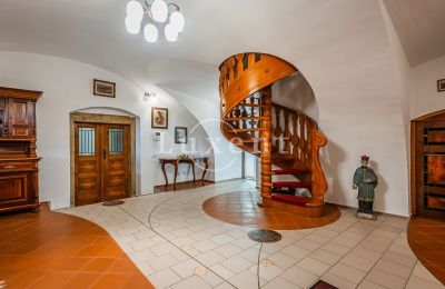 Medieval Castle for sale Třebotov, Třebotov tvrz, Středočeský kraj, Photo 10/36