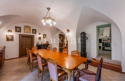 Medieval Castle for sale Třebotov, Třebotov tvrz, Středočeský kraj, Photo 11/36