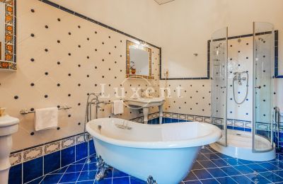 Medieval Castle for sale Třebotov, Třebotov tvrz, Středočeský kraj, Photo 13/36