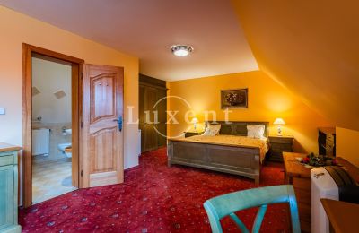Medieval Castle for sale Třebotov, Třebotov tvrz, Středočeský kraj, Photo 17/36