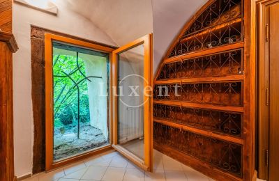 Medieval Castle for sale Třebotov, Třebotov tvrz, Středočeský kraj, Photo 19/36