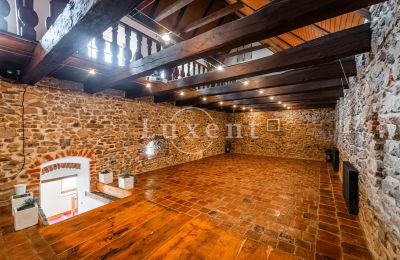 Medieval Castle for sale Třebotov, Třebotov tvrz, Středočeský kraj, Photo 20/36