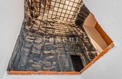 Medieval Castle for sale Třebotov, Třebotov tvrz, Středočeský kraj, Photo 22/36