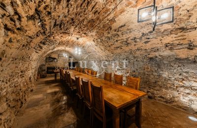 Medieval Castle for sale Třebotov, Třebotov tvrz, Středočeský kraj, Photo 27/36