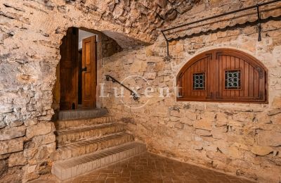 Medieval Castle for sale Třebotov, Třebotov tvrz, Středočeský kraj, Photo 29/36