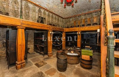 Medieval Castle for sale Třebotov, Třebotov tvrz, Středočeský kraj, Photo 30/36
