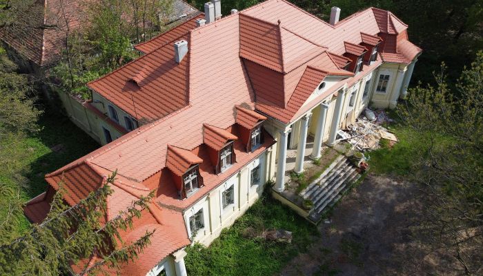 Castle for sale Skoraszewice, Greater Poland Voivodeship,  Poland