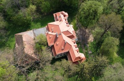 Castle Skoraszewice, Greater Poland