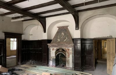 Castle for sale Skoraszewice, Skoraszewice  16, Greater Poland, Fireplace