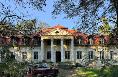 Castle for sale Skoraszewice, Skoraszewice  16, Greater Poland, Front view