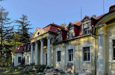 Castle for sale Skoraszewice, Skoraszewice  16, Greater Poland Voivodeship:  