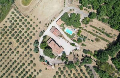 Farmhouse for sale 06019 Umbertide, Umbria:  