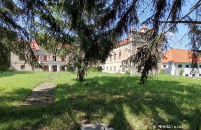 Castle for sale Karlovarský kraj:  Park