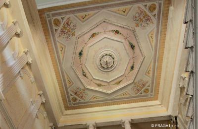 Castle for sale Karlovarský kraj, Ceiling